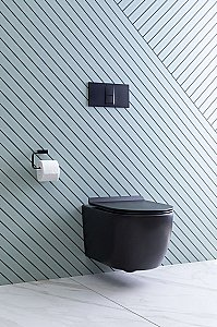 Унитаз подвесной Aquanet Rimless Cetus-BW BL-102N-WHT с крышкой микролифт, безободковый купить в интернет-магазине Sanbest