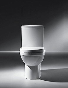 Унитаз-компакт Bravat NEW MOON CX01014UW с бачком, с крышкой микролифт купить в интернет-магазине Sanbest