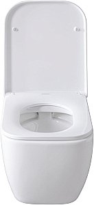 Унитаз Allen Brau Infinity 4.21004.20 безободковый, с крышкой микролифт, белый купить в интернет-магазине Sanbest