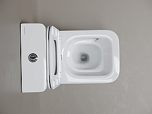 Унитаз напольный Ceramica Nova Cubic CN1803T-B/CN1803T-T белый, безободковый, с крышкой микролифт, слив торнадо купить в интернет-магазине Sanbest