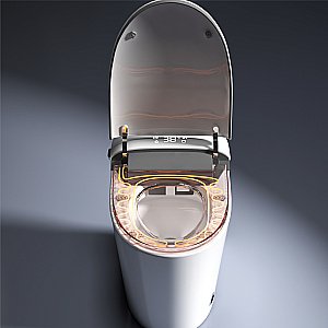 Унитаз напольный RGW SW-32 80420132-01 белый, безободковый, с крышкой микролифт, слив-торнадо купить в интернет-магазине Sanbest