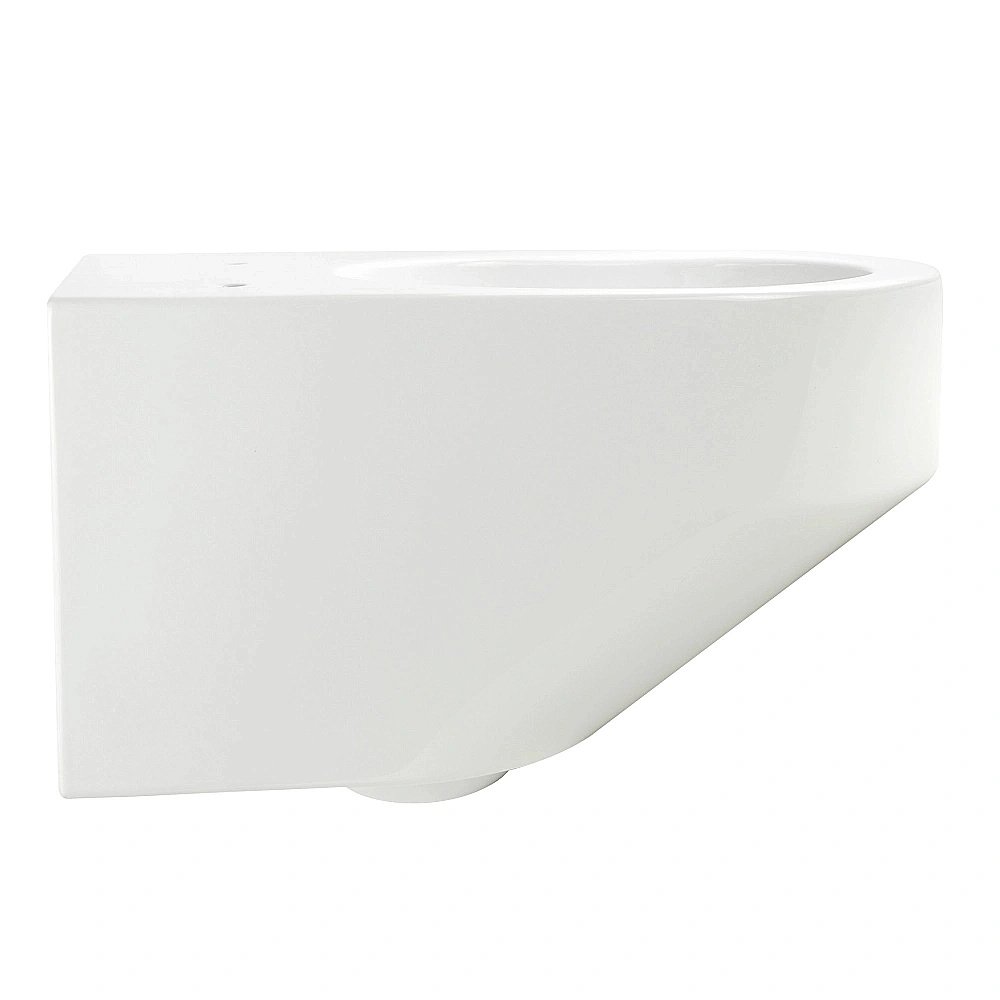 Унитаз подвесной Migliore JOY 32049, белая керамика, безободковый купить в интернет-магазине Sanbest