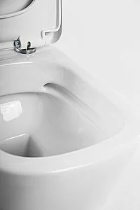 Унитаз подвесной BelBagno Albano BB120CHR безободковый купить в интернет-магазине Sanbest