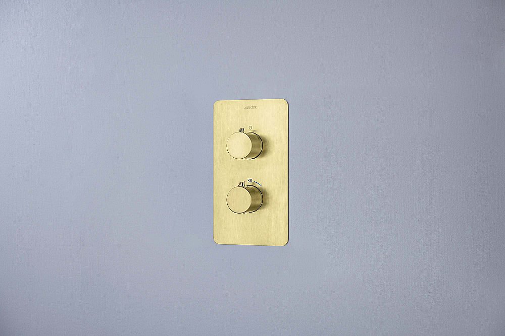 Cмеситель для душа Aquatek Европа AQ1391BG золото шлифованное купить в интернет-магазине сантехники Sanbest