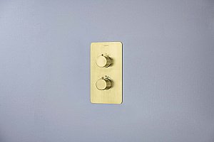 Cмеситель для душа Aquatek Европа AQ1391BG золото шлифованное купить в интернет-магазине сантехники Sanbest