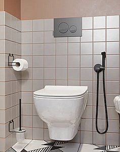 Унитаз подвесной Jacob Delafon STRUKTURA EDF102-00 безободковый купить в интернет-магазине Sanbest