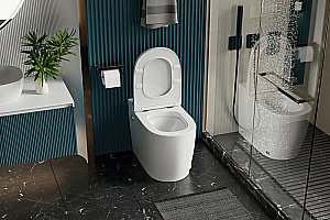 Унитаз ABBER Bequem AC1114P импульсный смыв, с крышкой микролифт купить в интернет-магазине Sanbest