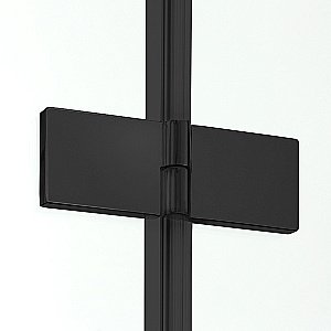 Душевая дверь NEW TRENDY NEW SOLEO BLACK D-0221A/D-0222A 80 стекло прозрачное/профиль черный купить в интернет-магазине Sanbest