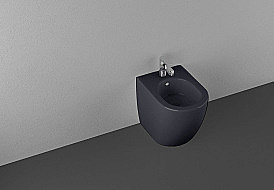 Биде напольное Allen Brau Reality 4.32005.AN антрацит матовый купить в интернет-магазине Sanbest