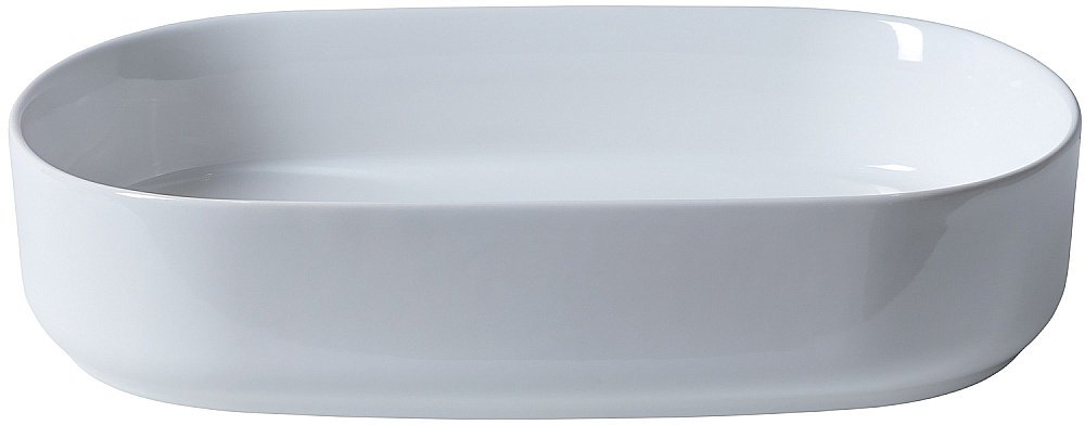 Раковина накладная Allen Brau Fantasy 55 4.11022.20 белая купить в интернет-магазине Sanbest