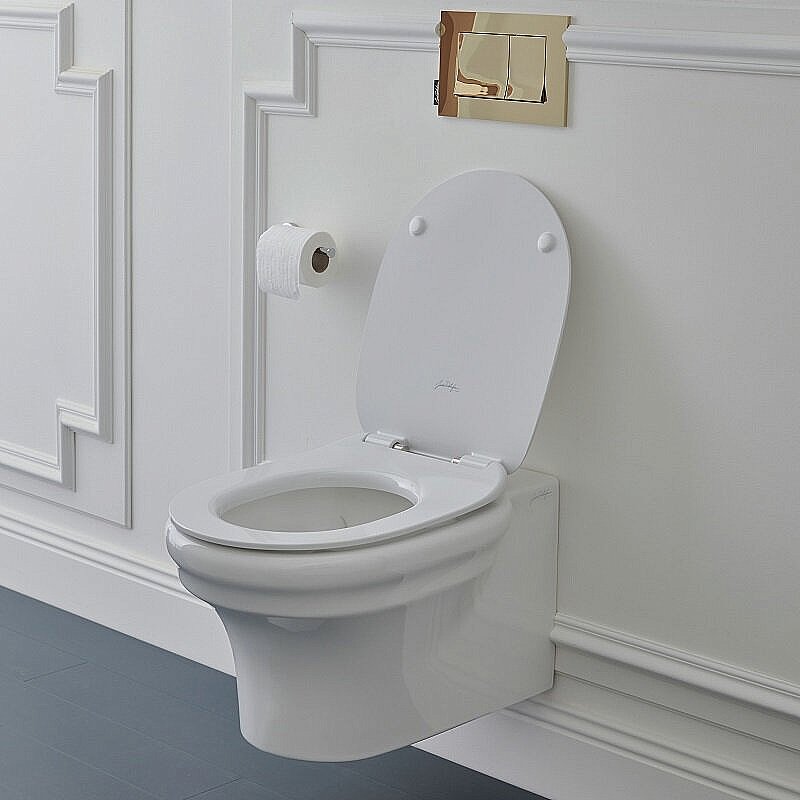 Унитаз подвесной Jacob Delafon Cleo 1889 EDZ102-0 безободковый, белый купить в интернет-магазине Sanbest