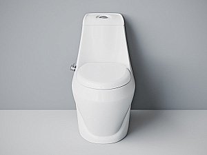 Унитаз-моноблок с функцией биде Laguraty 2160AС с крышкой микролифт купить в интернет-магазине Sanbest