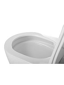 Унитаз напольный CEZARES STYLUS-TOR CZR-538-CP-TOR/SC безободковый, смыв торнадо, с бачком, с крышкой микролифт, белый купить в интернет-магазине Sanbest