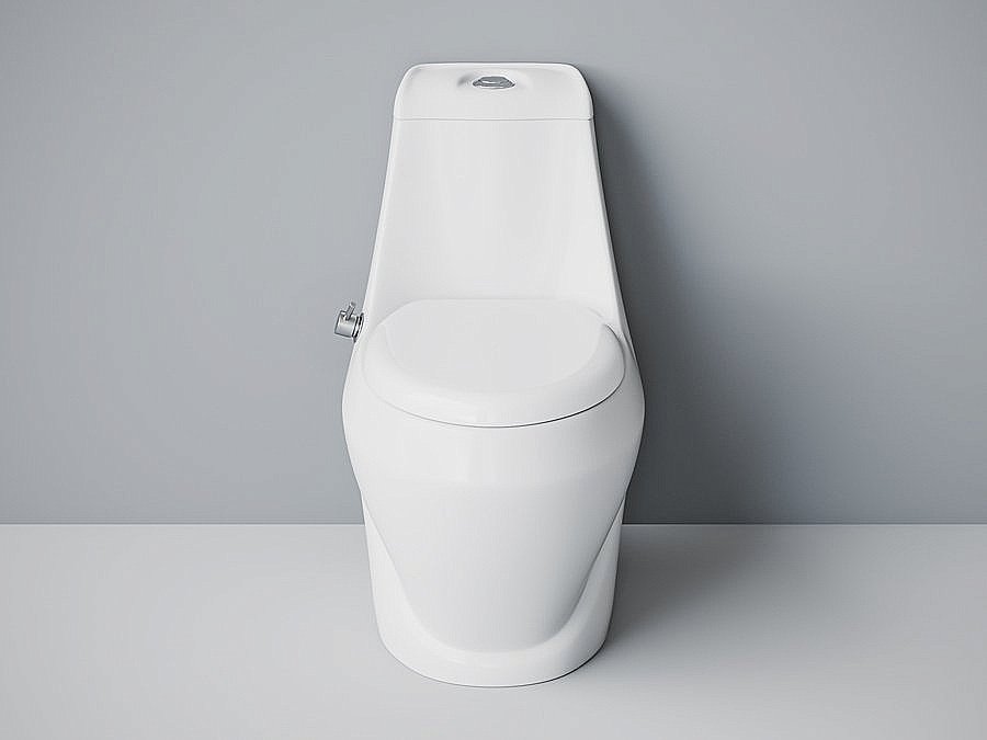 Унитаз-моноблок с функцией биде Laguraty 2160AС с крышкой микролифт купить в интернет-магазине Sanbest