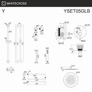 Душевая система WhiteCross Y YSET05GLB матовое золото купить в интернет-магазине сантехники Sanbest