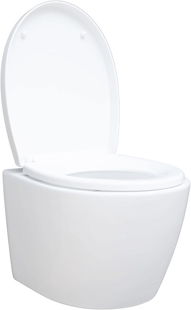 Унитаз подвесной Aquanet ZV-1 белый с крышкой микролифт, безободковый, слив-торнадо купить в интернет-магазине Sanbest