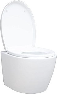 Унитаз подвесной Aquanet ZV-1 белый с крышкой микролифт, безободковый, слив-торнадо купить в интернет-магазине Sanbest