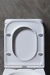 Унитаз Allen Brau Infinity 4.21001.20+4.21002.20 безободковый, с бачком, с крышкой микролифт, белый купить в интернет-магазине Sanbest