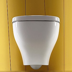 Унитаз подвесной Jacob Delafon Struktura EDF103-CP безободковый, с инсталляцией, с крышкой микролифт, белый/кнопка хром купить в интернет-магазине Sanbest