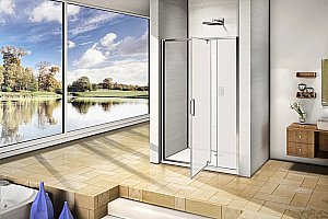 Душевая дверь Good door ORION WTW-PD 110 стекло матовое купить в интернет-магазине Sanbest