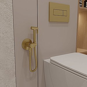 Гигиенический душ Oliveeka Y OL-829902-BG золото матовое купить в интернет-магазине сантехники Sanbest