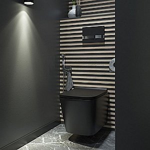 Унитаз подвесной IDDIS Bild BILR2BMi25 безободковый, с крышкой микролифт купить в интернет-магазине Sanbest