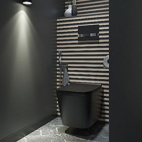 Унитаз подвесной IDDIS Bild BILR2BMi25 безободковый, с крышкой микролифт купить в интернет-магазине Sanbest