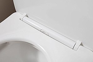 Унитаз-компакт Aquanet Rimless Cetus 2.0 C1 LX-2903 с крышкой микролифт, с бачком, безободковый купить в интернет-магазине Sanbest