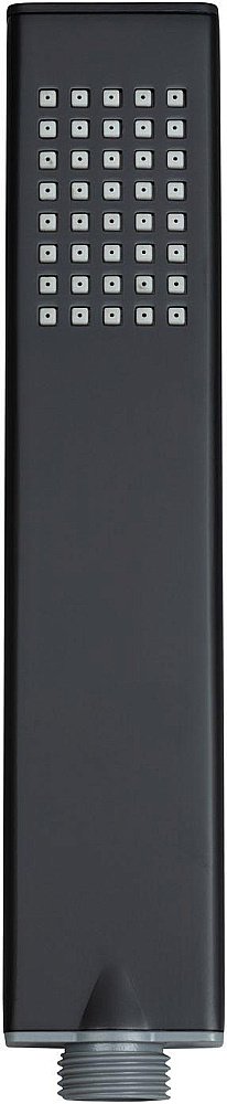 Душевая лейка Allen Brau Infinity 5.21022-31 черная матовая купить в интернет-магазине сантехники Sanbest