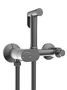 Гигиенический душ со смесителем WeltWasser HIGI R02 GG Брашированная оружейная сталь купить в интернет-магазине сантехники Sanbest