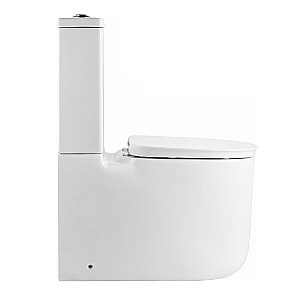 Напольный унитаз-компакт Black&White Gravity 7780WX безободковый, слив-торнадо, с крышкой микролифт, с бачком, белый глянцевый купить в интернет-магазине Sanbest