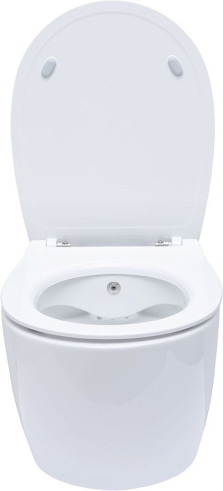 Унитаз Allen Brau Fantasy 4.11HC1.20 безободковый, с крышкой микролифт, белый купить в интернет-магазине Sanbest