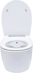 Унитаз Allen Brau Fantasy 4.11HC1.20 безободковый, с крышкой микролифт, белый купить в интернет-магазине Sanbest