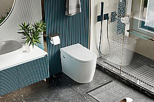 Унитаз ABBER Bequem AC1114P импульсный смыв, с крышкой микролифт купить в интернет-магазине Sanbest