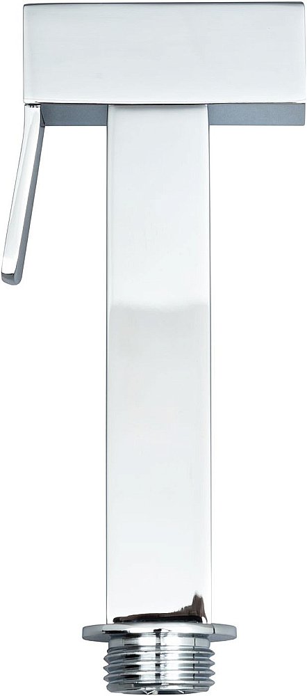 Гигиенический душ Allen Brau Infinity 5.21A05-00 хром купить в интернет-магазине сантехники Sanbest