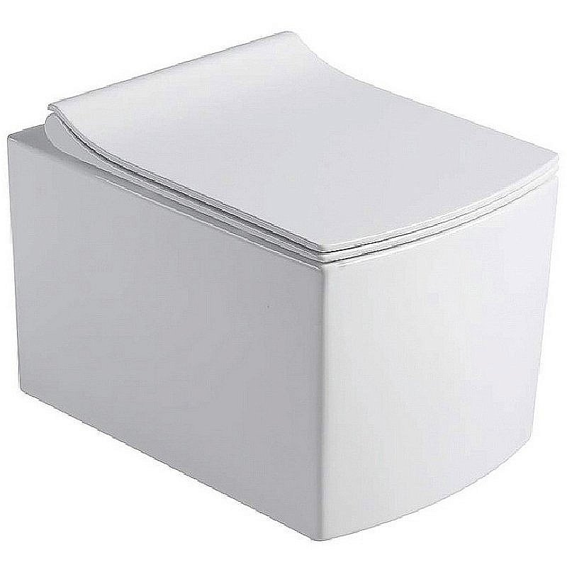 Унитаз подвесной Black&White Universe W-719 белый, безободковый купить в интернет-магазине Sanbest