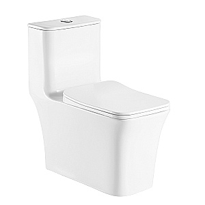 Унитаз моноблок Azario Gressa AZ-1111 белый, безободковый, с крышкой микролифт купить в интернет-магазине Sanbest