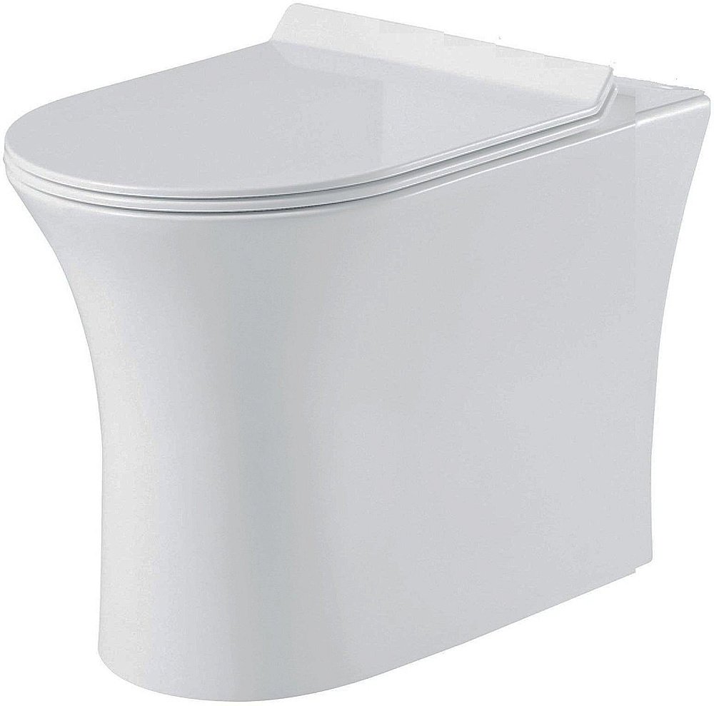 Унитаз приставной BelBagno Ancona BB1224CBR-P безободковый купить в интернет-магазине Sanbest