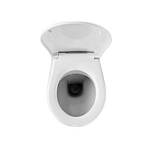 Унитаз подвесной Grohe Lecico Perth 39116000 альпин-белый, с крышкой микролифт, с инсталляцией купить в интернет-магазине Sanbest