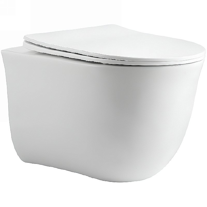 Унитаз подвесной Aquatek Классик AQ1112-00 белый, с крышкой микролифт, безободковый купить в интернет-магазине Sanbest