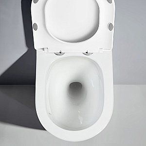 Унитаз подвесной RGW SW-51 80420251-01 белый, безободковый, с крышкой микролифт, слив-торнадо купить в интернет-магазине Sanbest