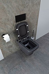 Унитаз подвесной Allen Brau Infinity 2 4.21011.AN антрацит матовый, безободковый купить в интернет-магазине Sanbest