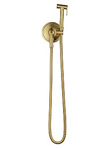 Смеситель с гигиеническим душем встраиваемый WONZON & WOGHAND STEAM, Брашированное золото (WW-88829008-BG) купить в интернет-магазине сантехники Sanbest