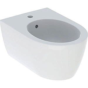 Биде подвесное Geberit iCon 501.898.00.1 белое купить в интернет-магазине Sanbest