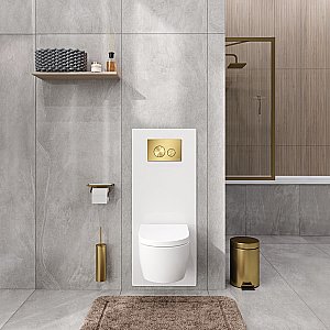 Инсталляция для унитаза WasserKraft Salm 27TLT.010.ME.WH.MG03 белая панель/кнопка матовое золото купить в интернет-магазине сантехники Sanbest