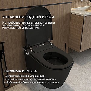 Электронный унитаз-биде ABBER Bequem AC1121SMB черный матовый, с крышкой микролифт купить в интернет-магазине Sanbest