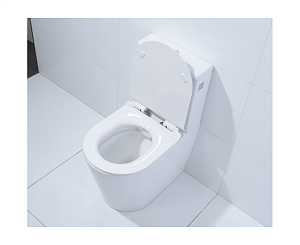 Унитаз-компакт Orans Ceramic OLS-WM9908 безободковый, с бачком, с крышкой микролифт купить в интернет-магазине Sanbest