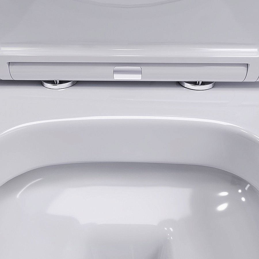 Унитаз подвесной Damixa Sirius DX86C1700SC белый, с крышкой микролифт, безободковый купить в интернет-магазине Sanbest