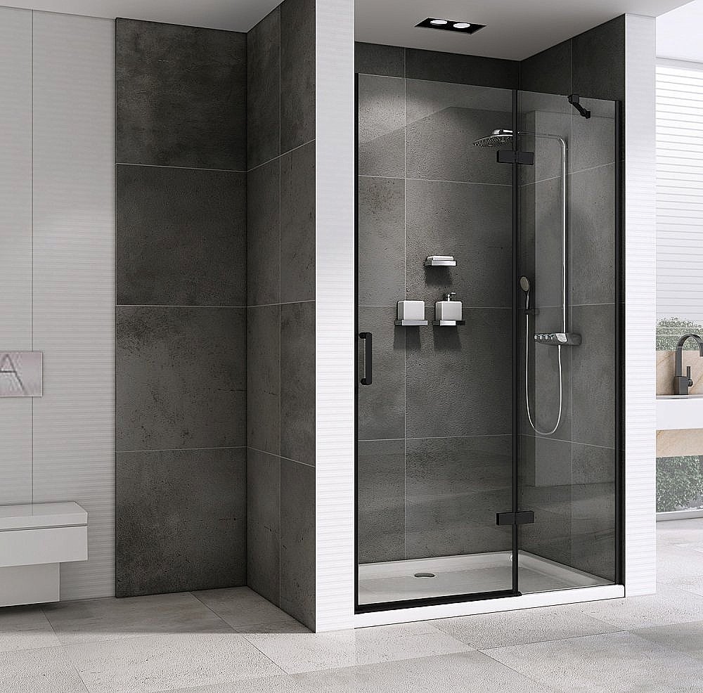 Душевая дверь Abber Zart AG08100B 100 купить в интернет-магазине Sanbest