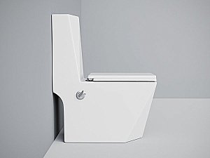 Унитаз-моноблок с функцией биде Laguraty 071AC с крышкой микролифт купить в интернет-магазине Sanbest